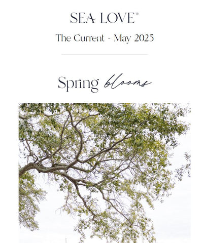 "The Current" - Sea Love Newsletter - May 2025