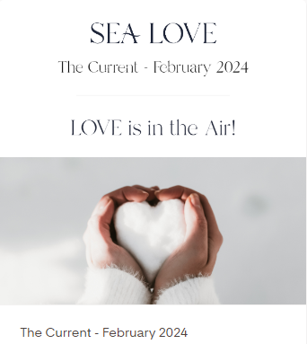 "THE CURRENT" SEA LOVE NEWSLETTER - FEBRUARY 2024