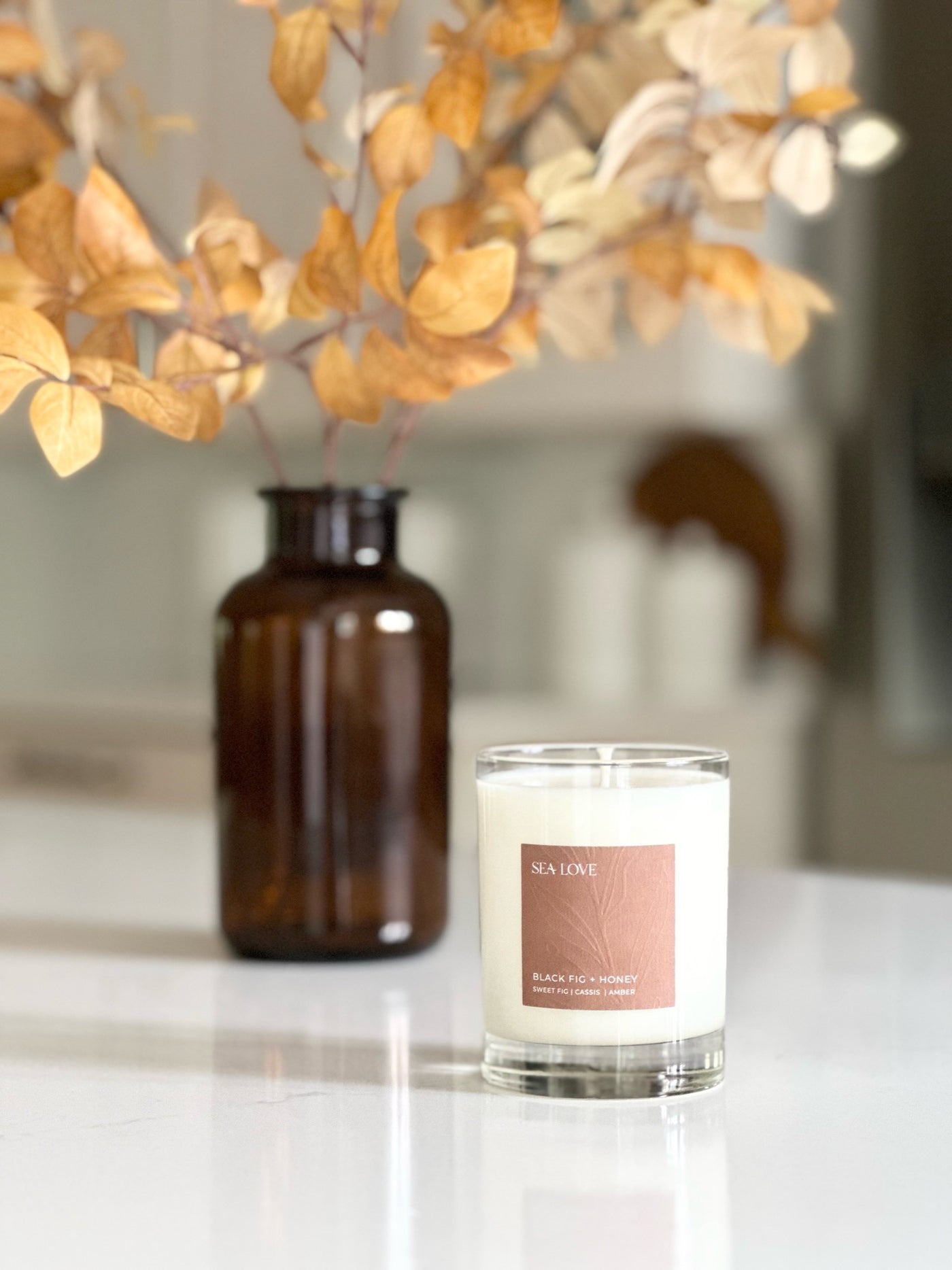 BLACK FIG + HONEY SOY CANDLE