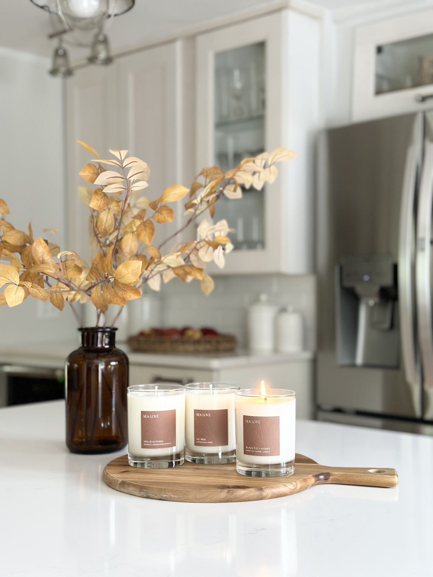 BLACK FIG + HONEY SOY CANDLE