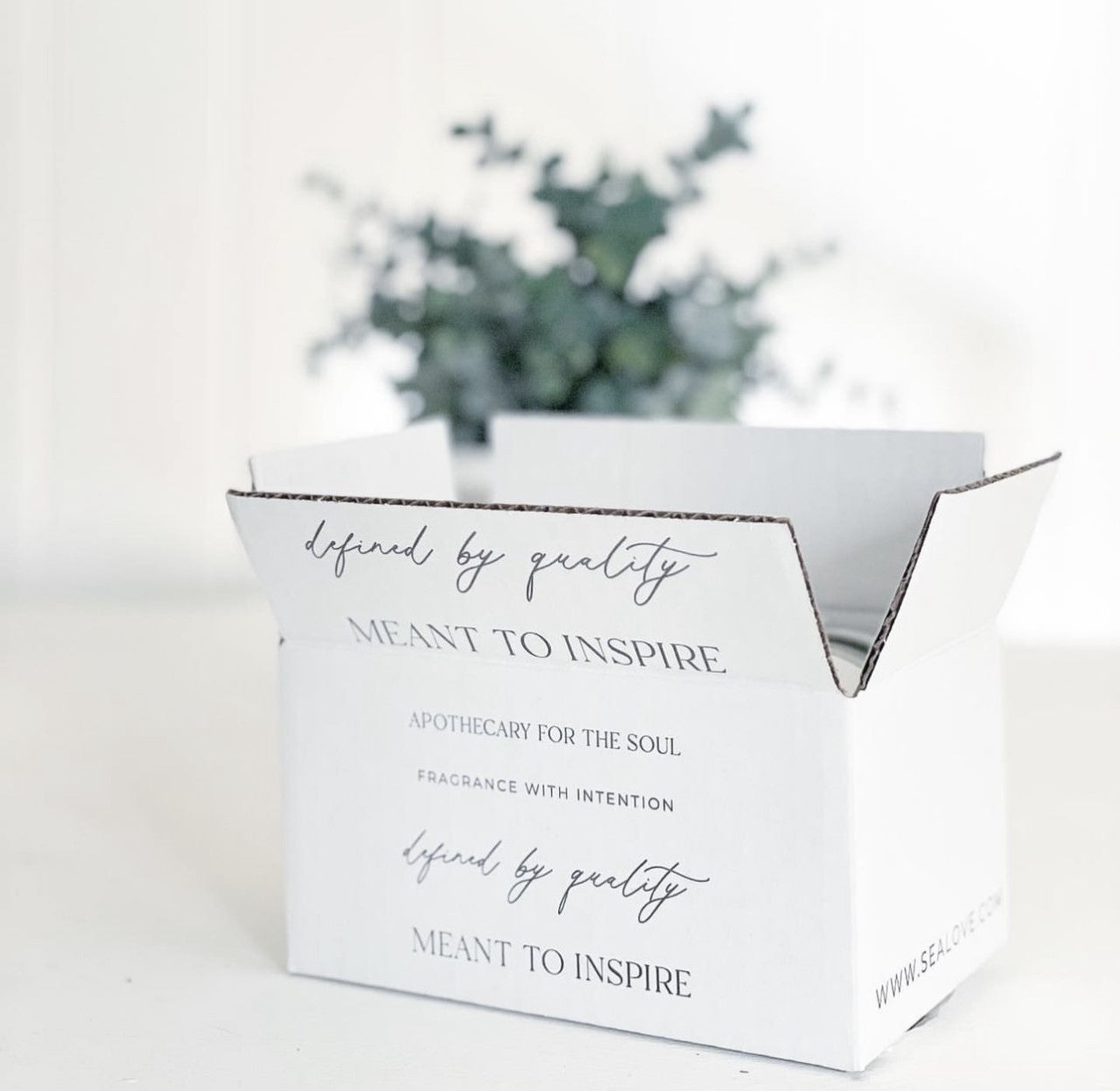 SHIPPING BOX INSERT